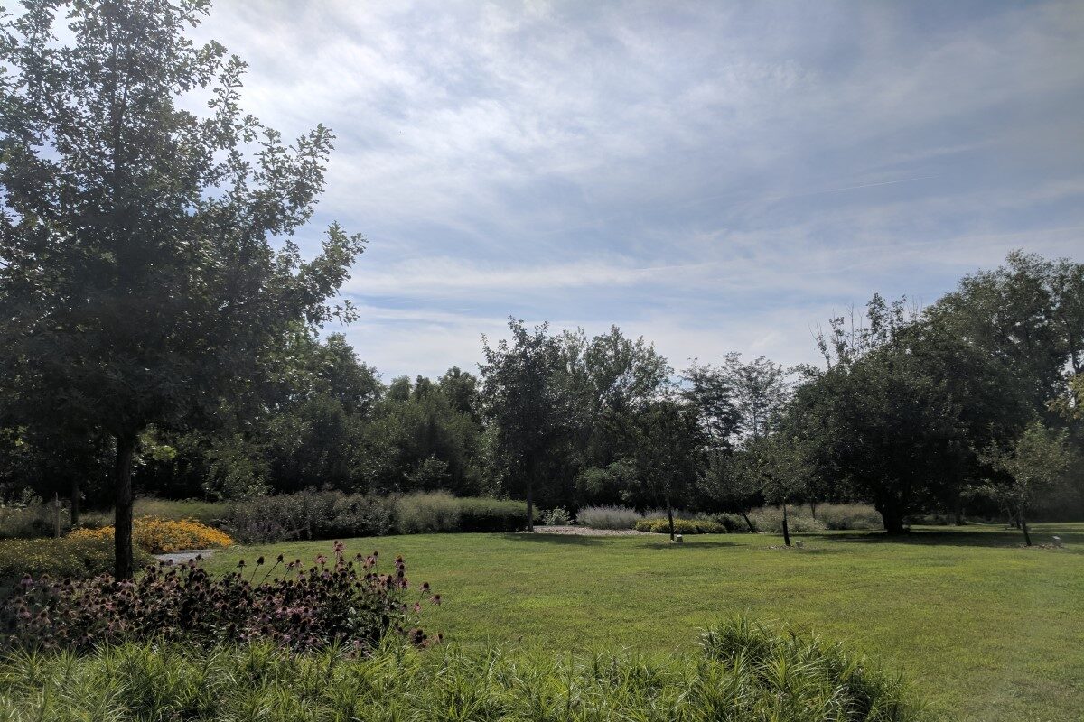 View of Columbus pollinator garden and orchard trees.