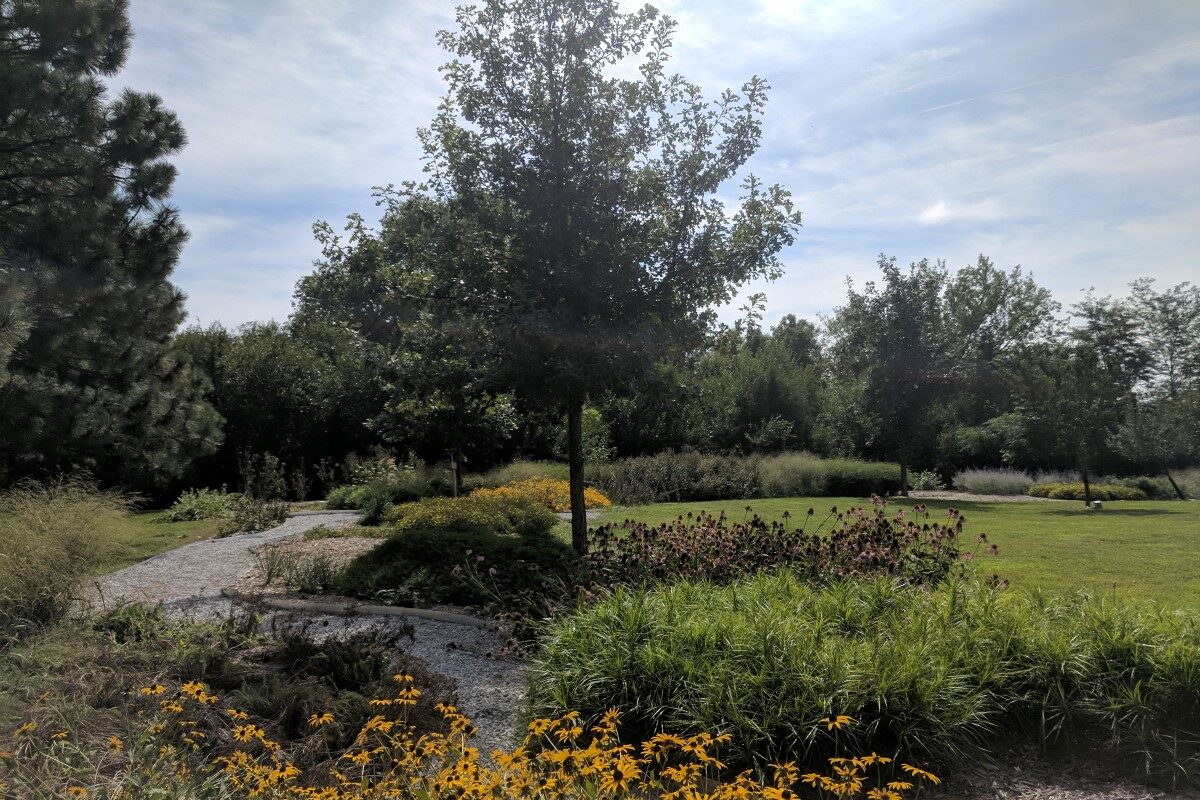 Columbus yellow pollinator garden.