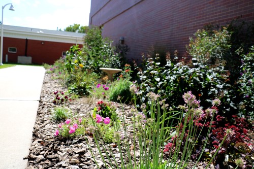 Hastings Pollinator Garden