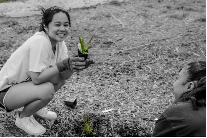 Student planting a pollinator flower.