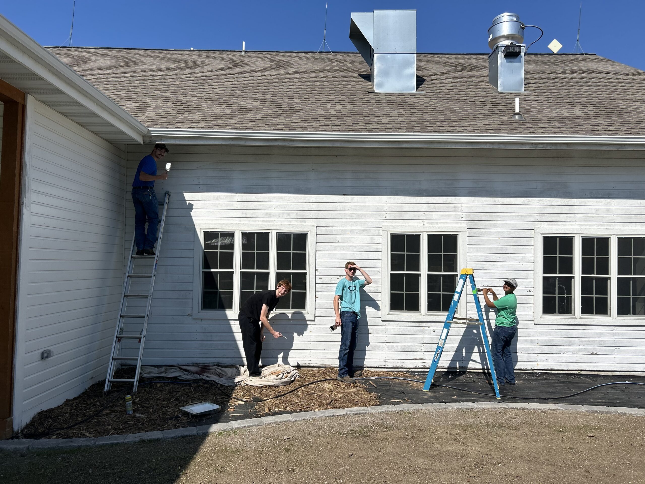 Group performs maintenance work on a building exterior using ladders and tools.